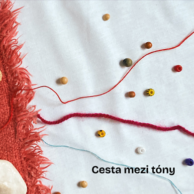 Ondřej Tichý - Cesta mezi tóny